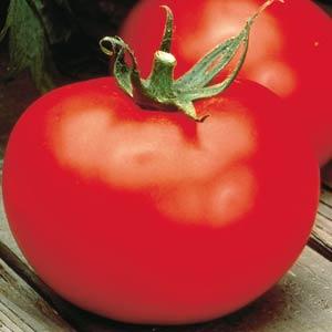Tomato Better Boy