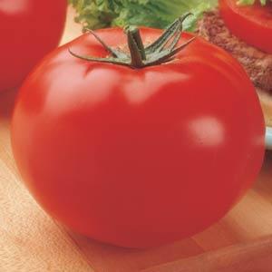 Tomato Big Beef