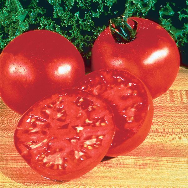 Tomato Big Boy