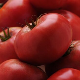Tomato Brandywine