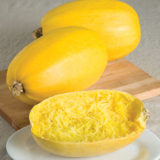 Squash Spaghetti
