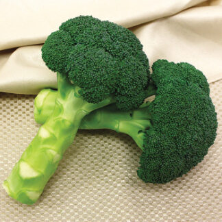 Broccoli Green Magic
