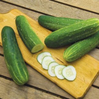 Cucumber Straight 8