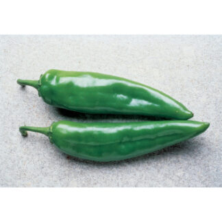 Pepper Anaheim
