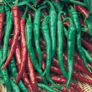 Pepper Cayenne