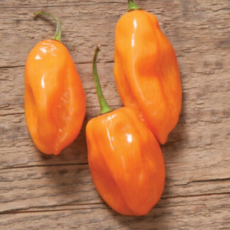 Pepper Habenero
