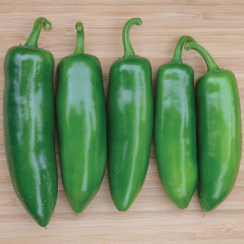Pepper Tricked You Jalapeno(sweet jalapeno)