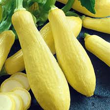 Squash Straight neck Yellow