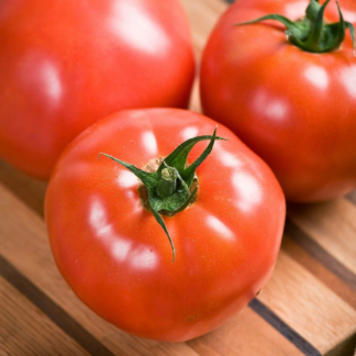 Tomato Celebrity