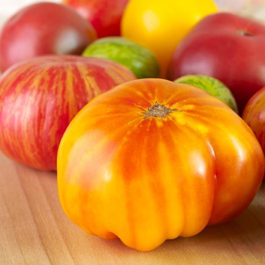 Tomato Hillbilly