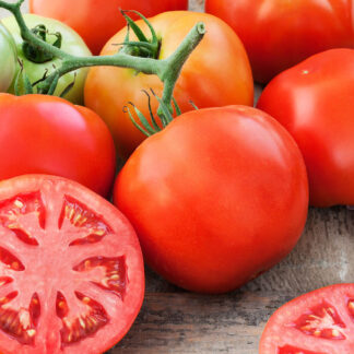 Tomato Italian Giant Beefsteak