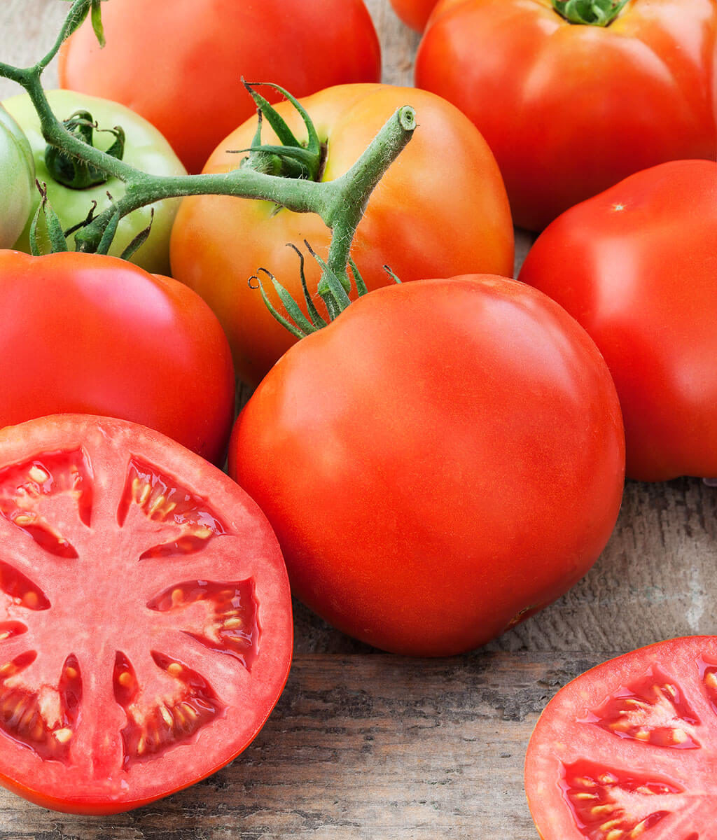 Tomato Italian Giant Beefsteak