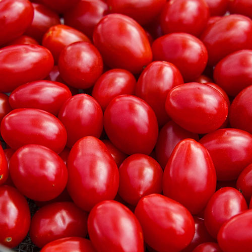Tomato Jelly Bean Red