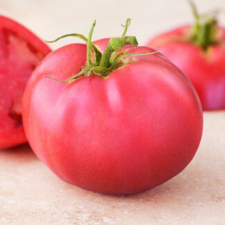 Tomato Pink Girl