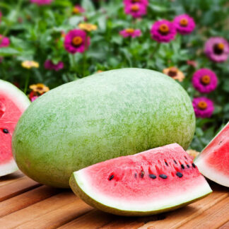 Watermelon Charleston Gray