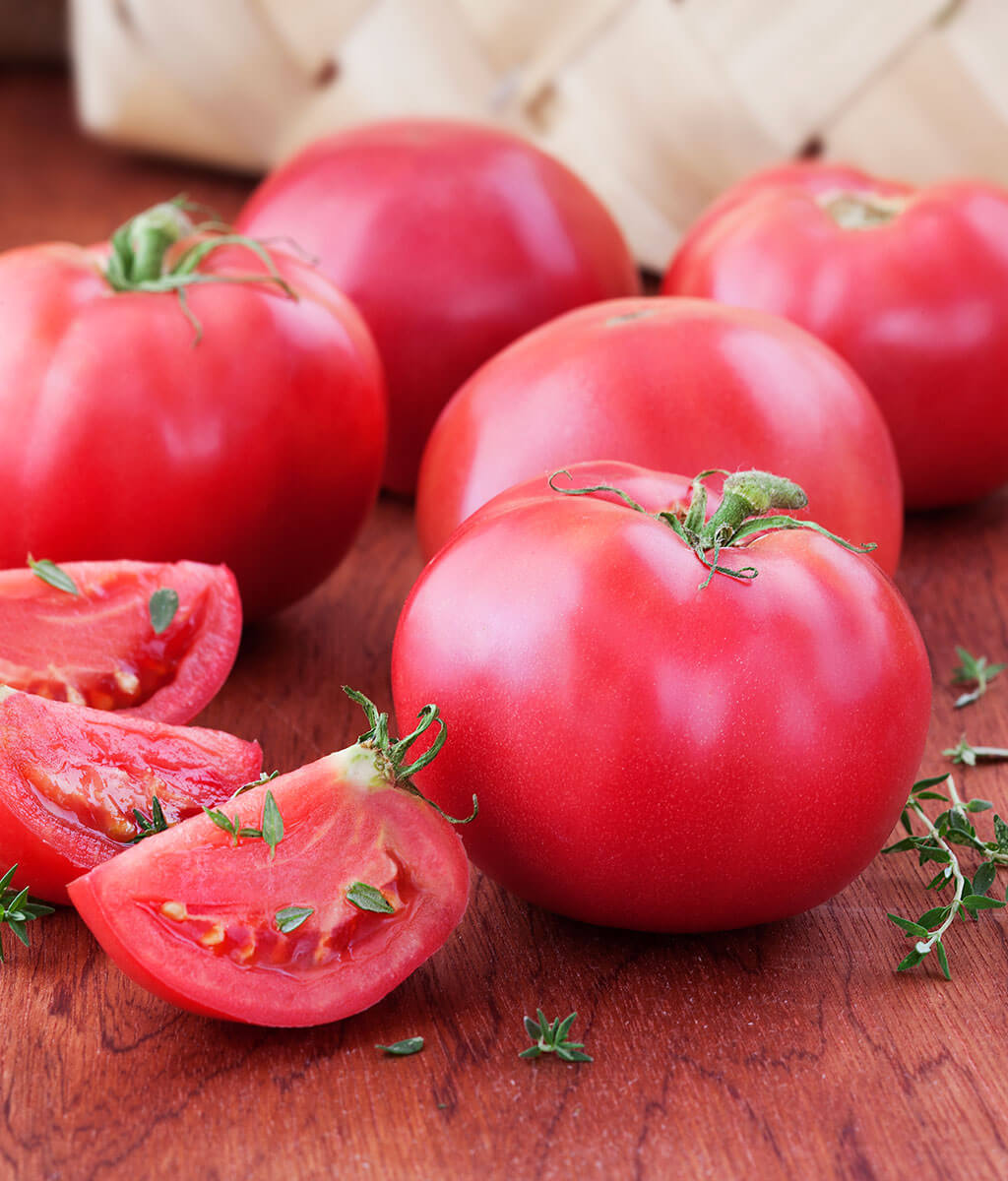 Tomato Bradley