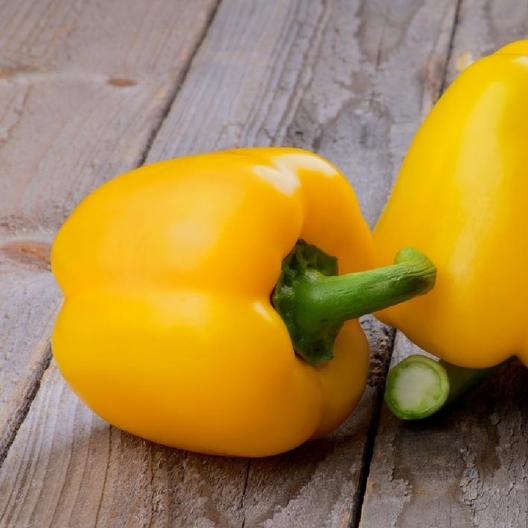 Pepper California Wonder Yellow