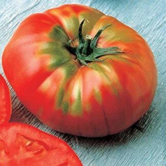 Tomato German Head
