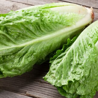 Lettuce Romaine