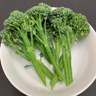 Broccoli Artwork