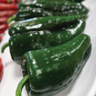 Poblano/Ancho Pepper